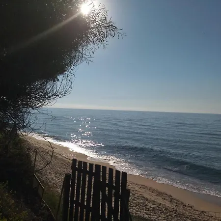 La Pineta Fronte Mare 럭셔리텐트