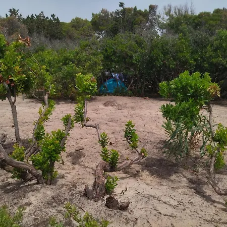 豪华帐篷 La Pineta Fronte Mare